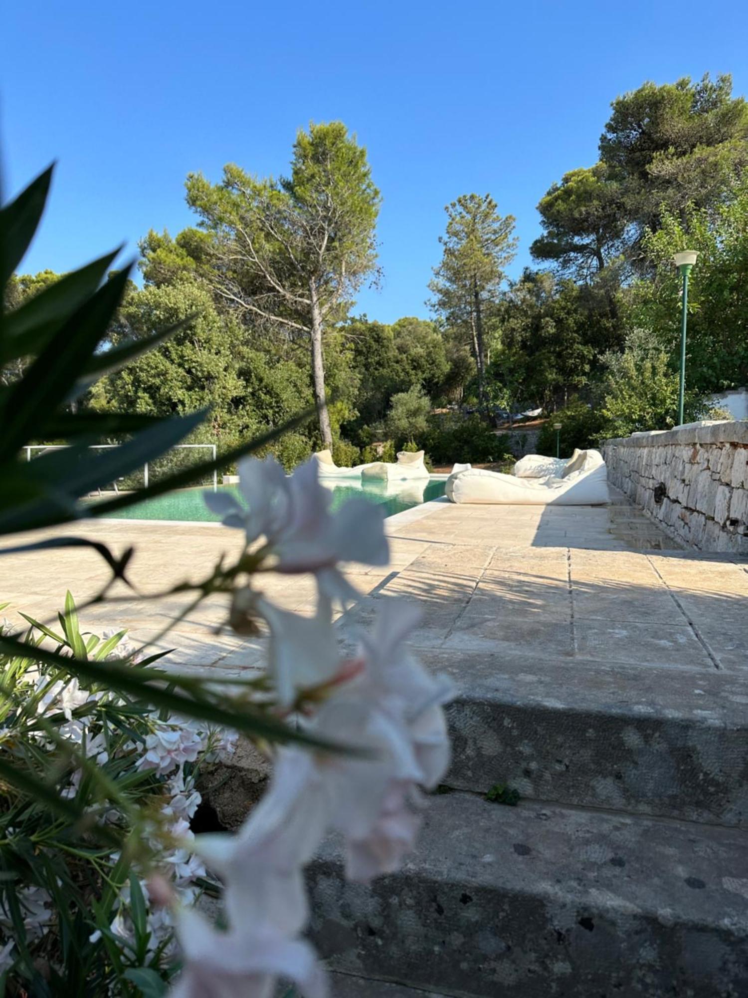 Il Trullo Di Simona Bed & Breakfast Locorotondo Bagian luar foto